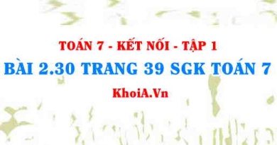 Bài 2.30 trang 39 SGK Toán 7 tập 1 Kết nối tri thức